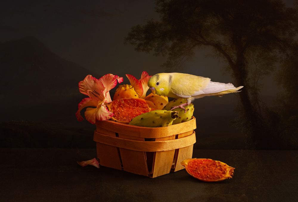 Натюрморт с заморскими фруктами и попугаем