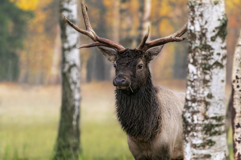 Photograph by Константин Кукушкин