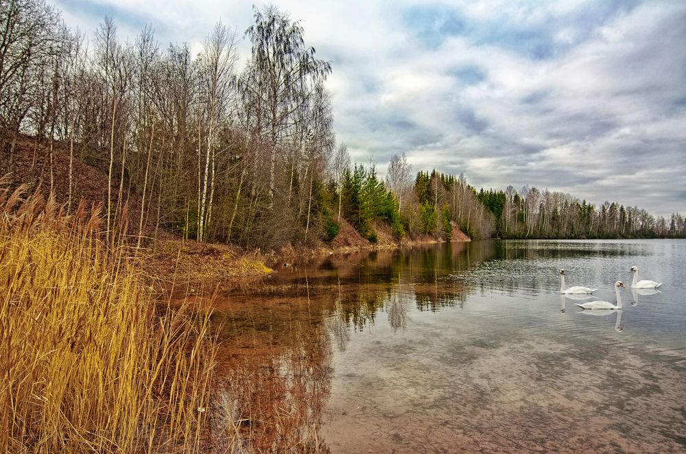 Тихая заводь.