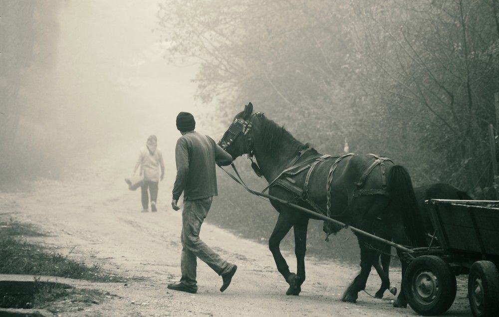 Photograph by Narcis Aurel Mursă