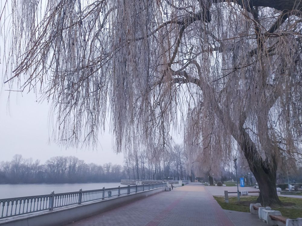 Photograph by Ирина Половцева