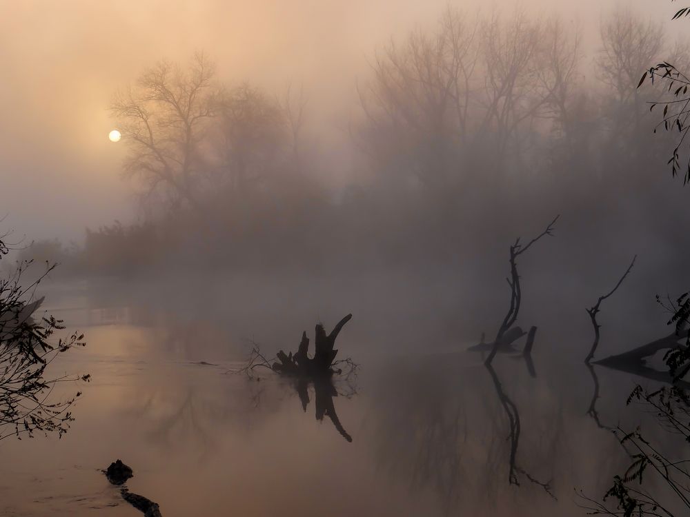 Photograph by Константин Шишкалов