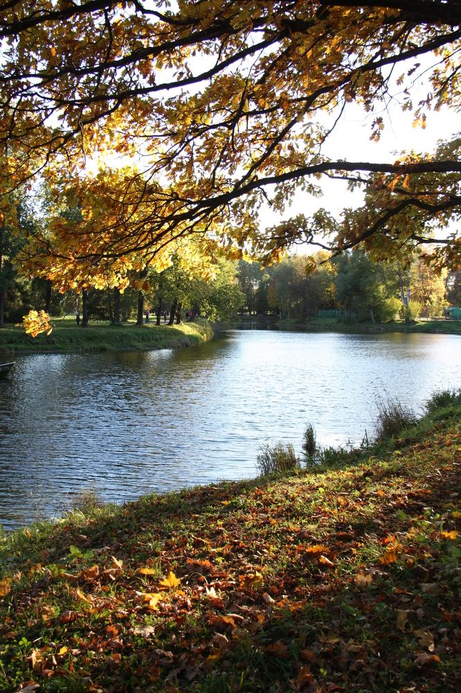 Photograph by Мария Королькова