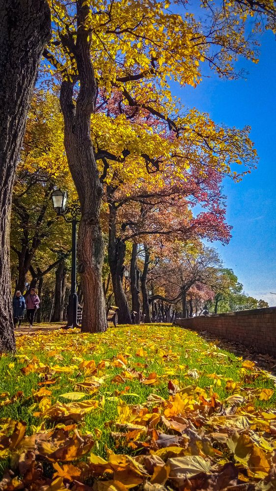 Черниговский Вал