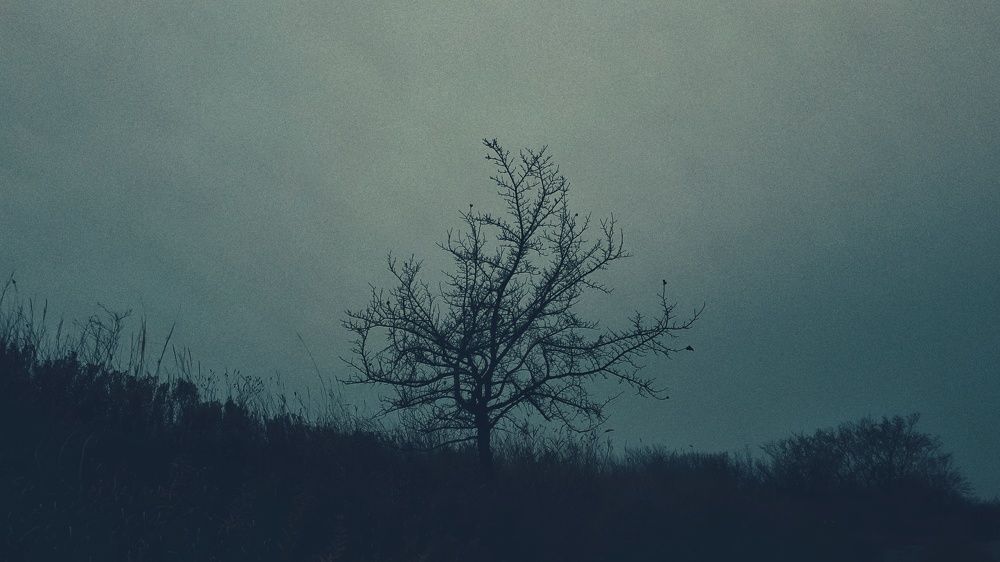 Photograph by Алёна Бондаренко