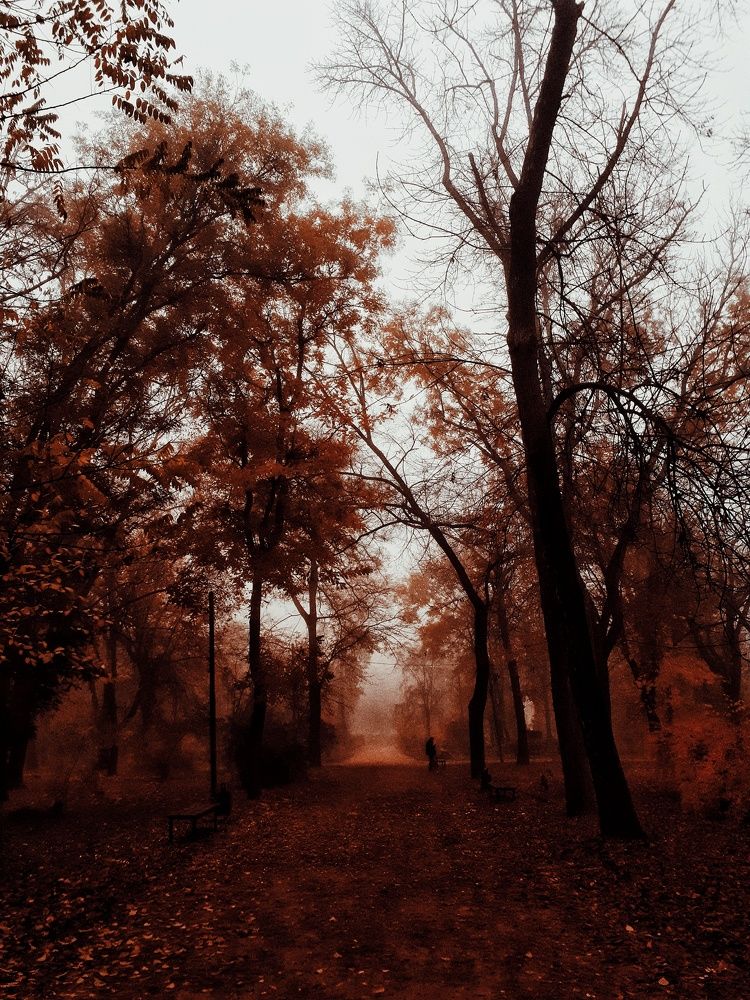 Photograph by Алёна Бондаренко