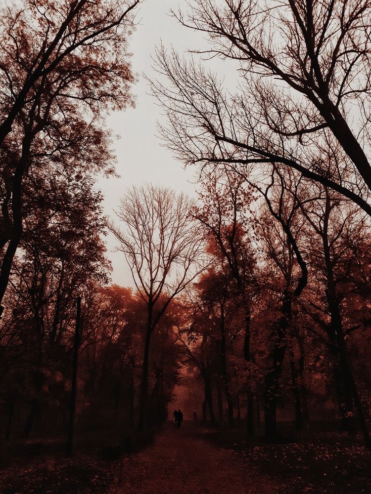 Photograph by Алёна Бондаренко