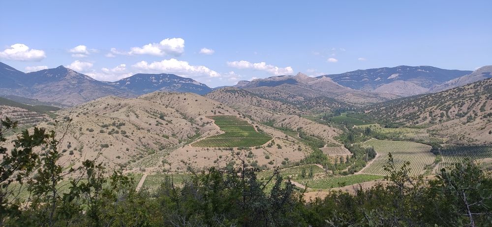 Photograph by Ковальчук