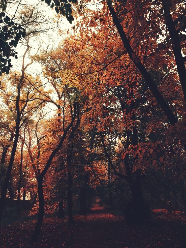 Photograph by Алёна Бондаренко