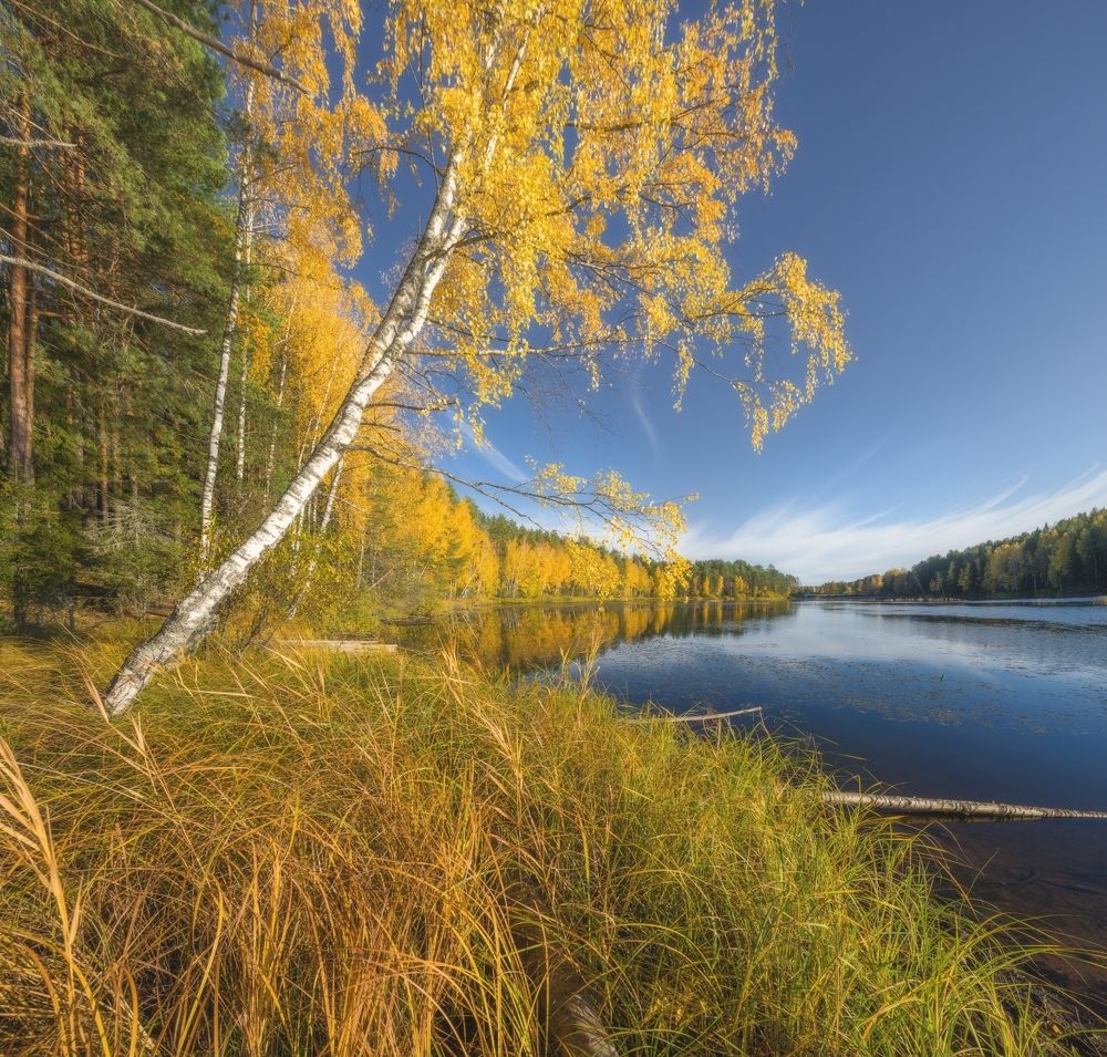 Photograph by Устюжанин Михаил