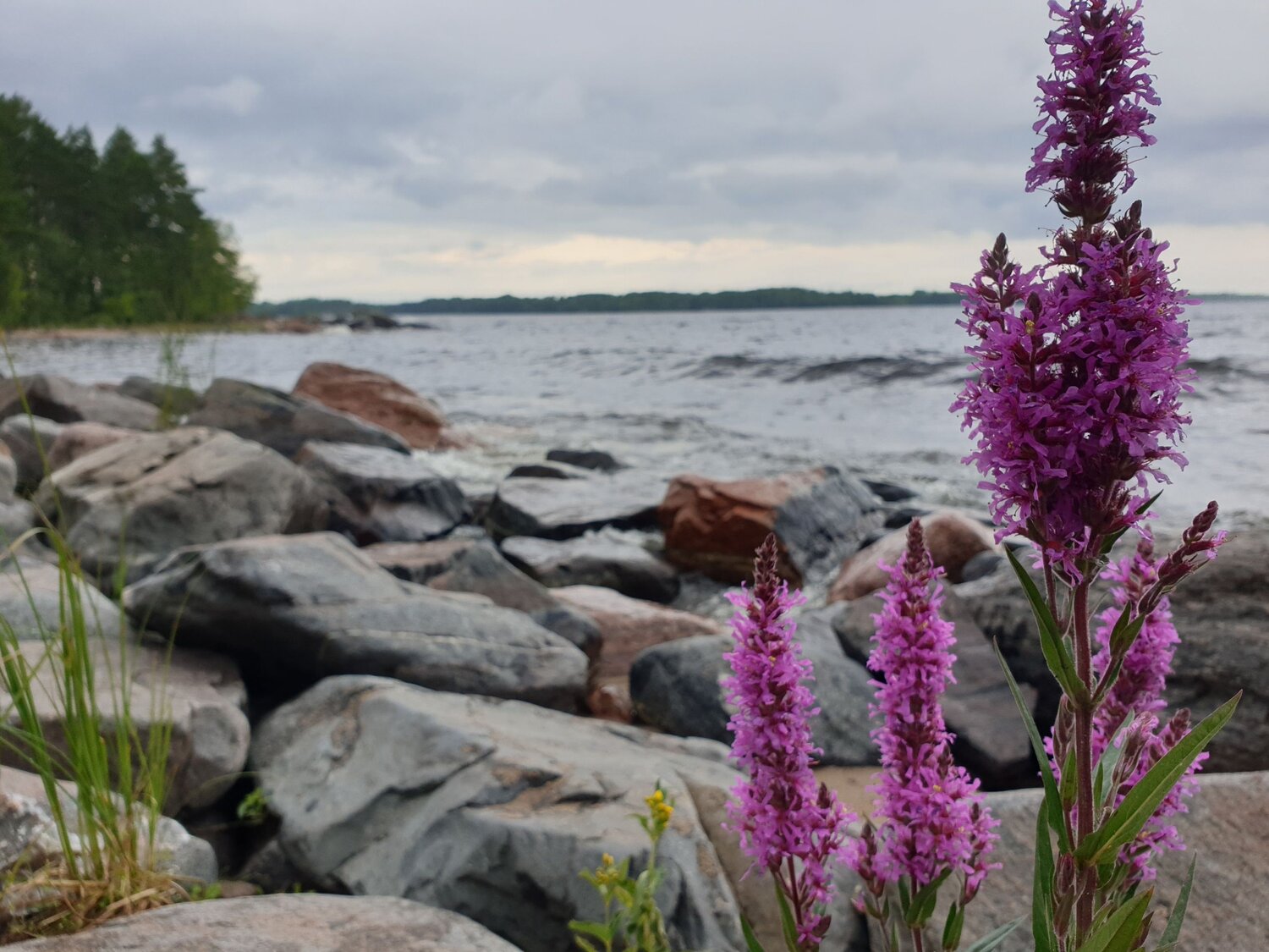 Photo #6693938