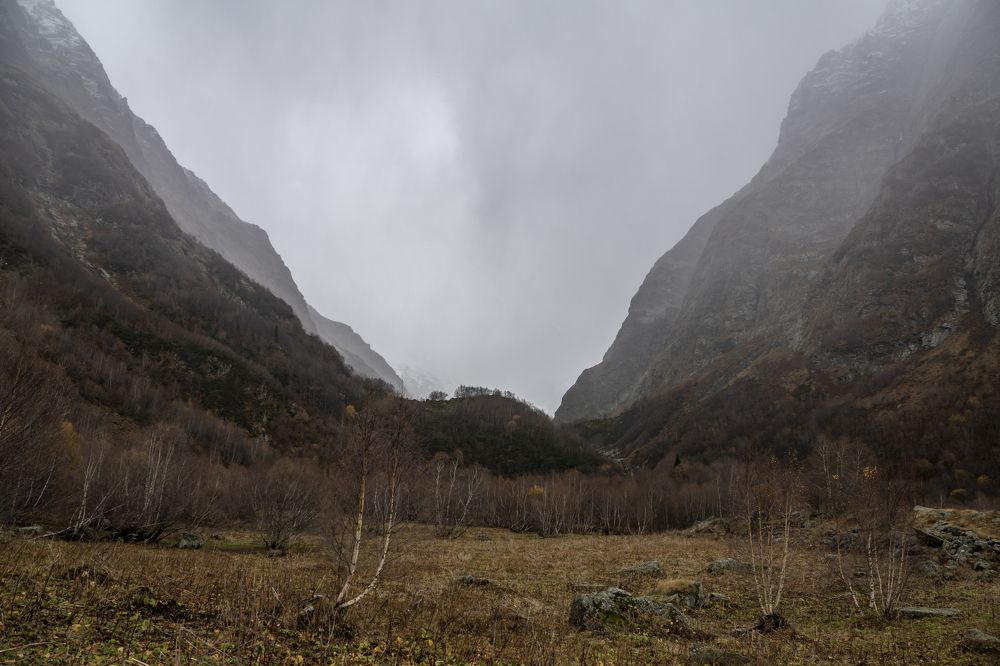 Photograph by Меркулова Наталья Геннадьевна