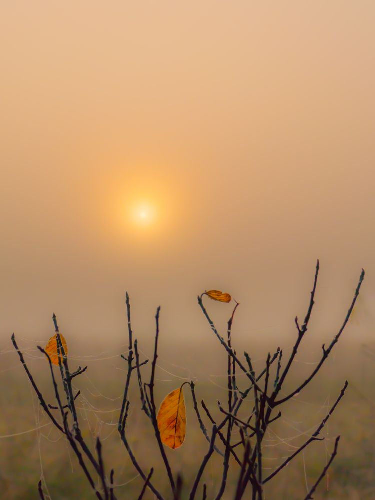 Photograph by Ринат Файзуллин