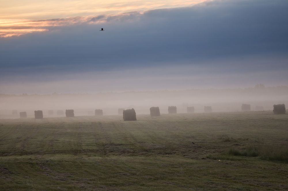 Photograph by Галина Юдина