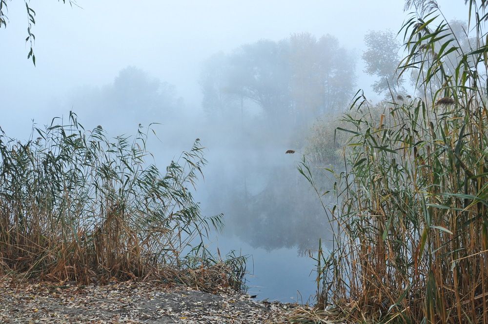 Photograph by Александр Штифман