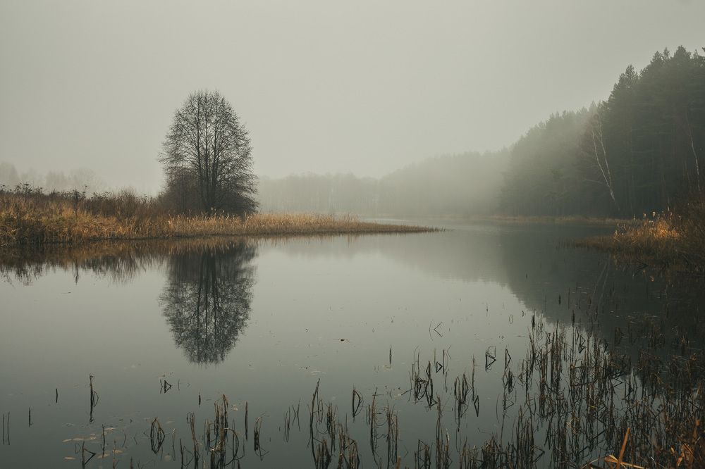 Photograph by Юрий Петрухин