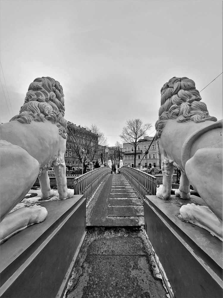 Photograph by Сергей Кесаев