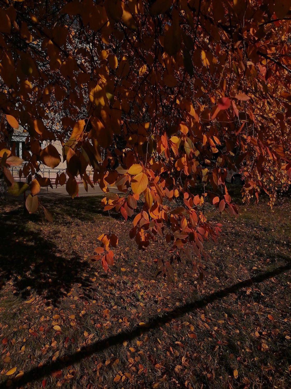 Photo #6694099