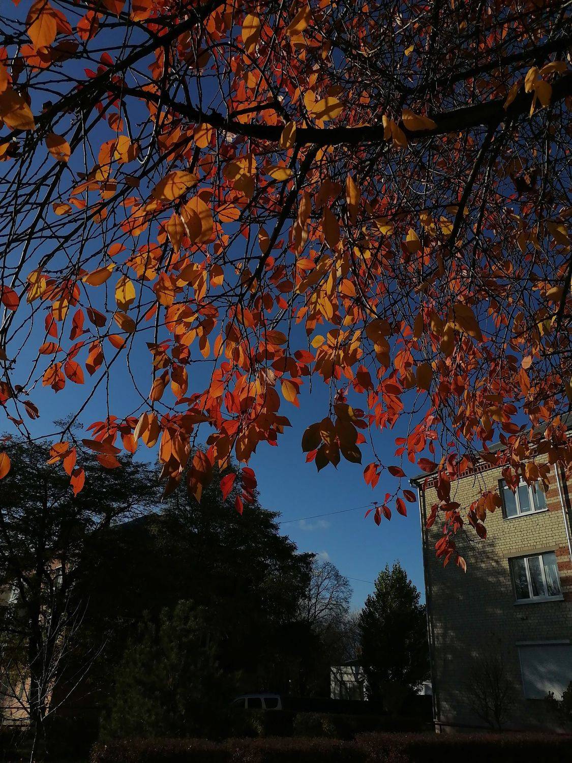 Photo #6694106
