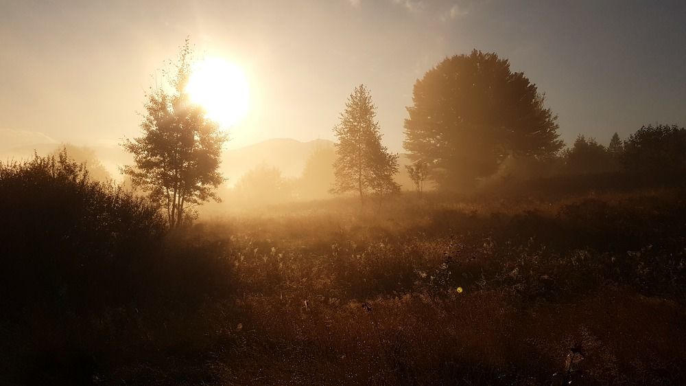 Photograph by Iгор Ситар