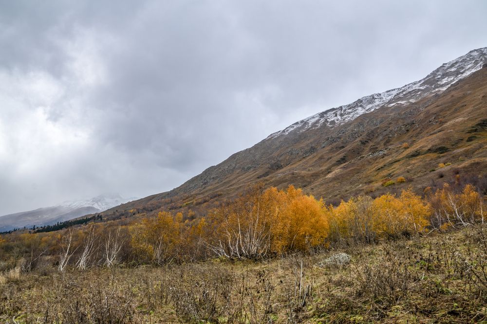 Photograph by Меркулова Наталья Геннадьевна