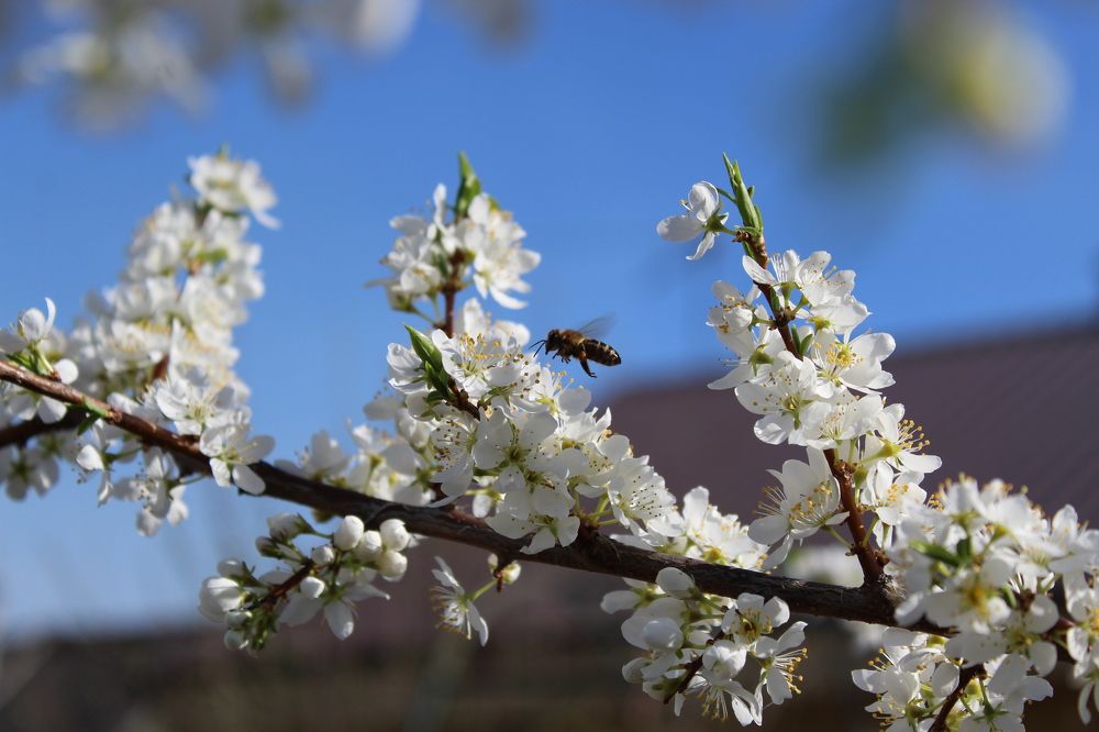 Photograph by Наталия