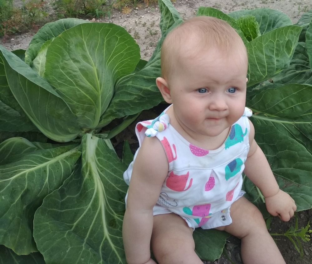 Photograph by Людмила