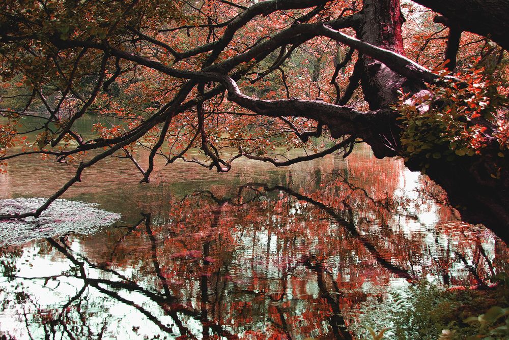 Photograph by Gordana Nikolovska-Dimeska