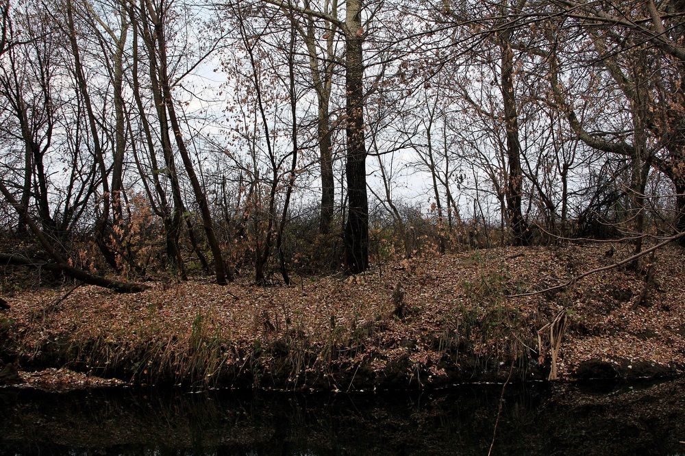 Photograph by Виктор Коршунов