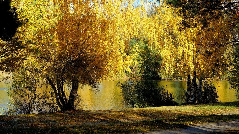 Photograph by Блюмина Елена