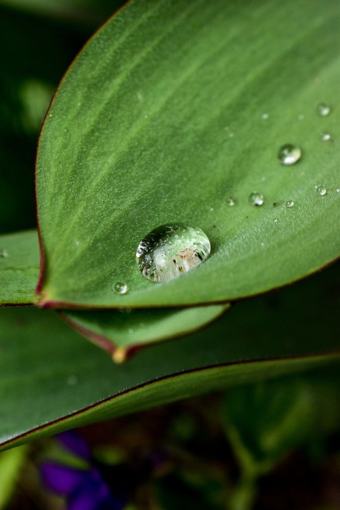 Фотография автора Andrea