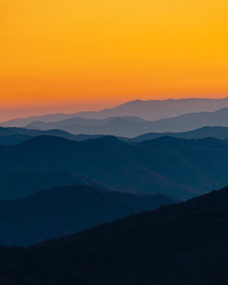 Photograph by Светлана