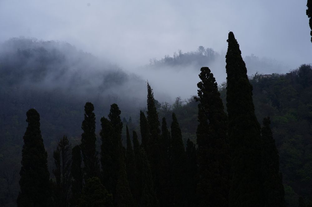 Photograph by Воронова Анна