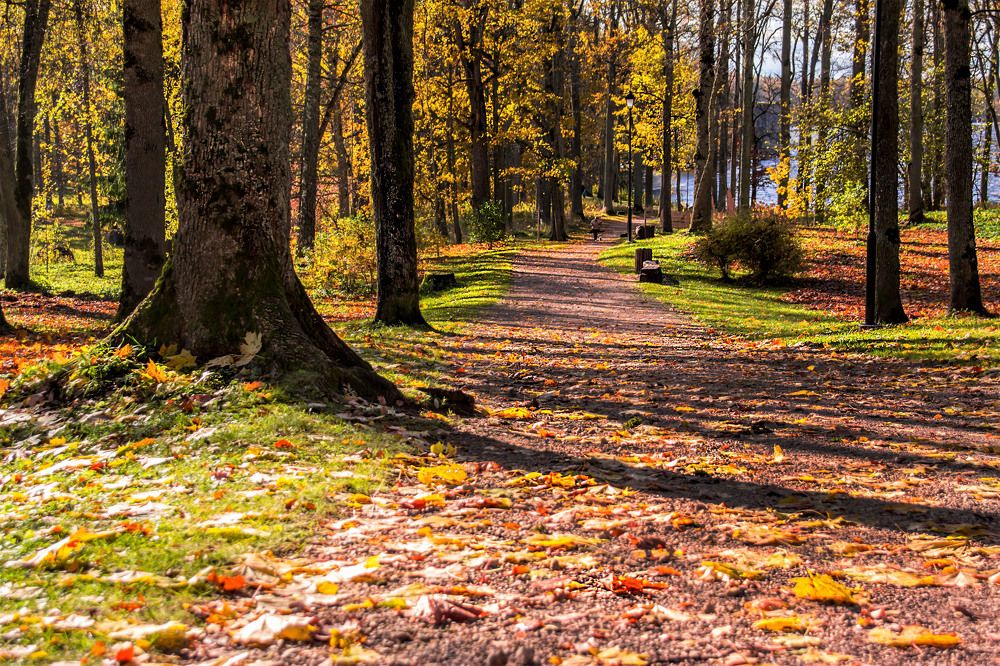 Photograph by Germans Alenins