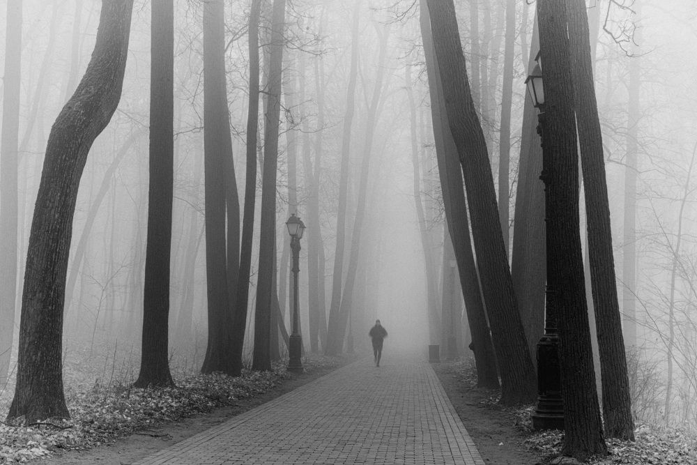 Photograph by Владимир Брагилевский