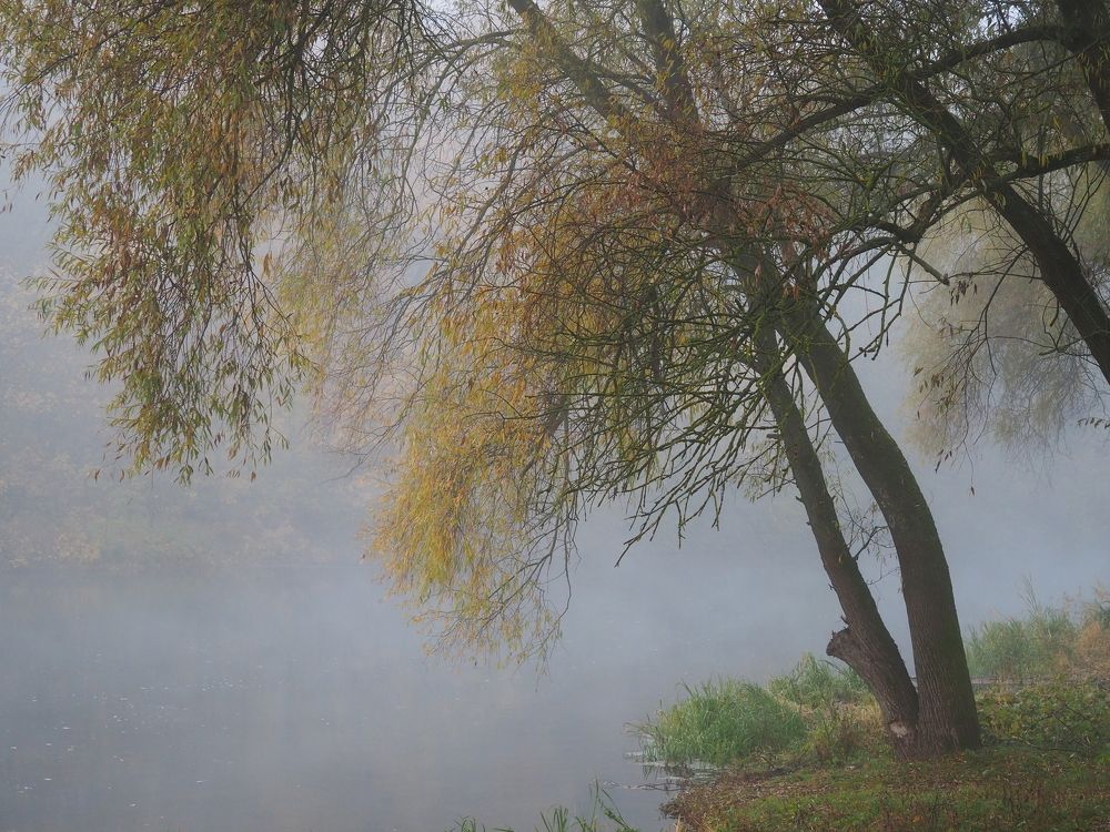 Photograph by Бабаев Андрей