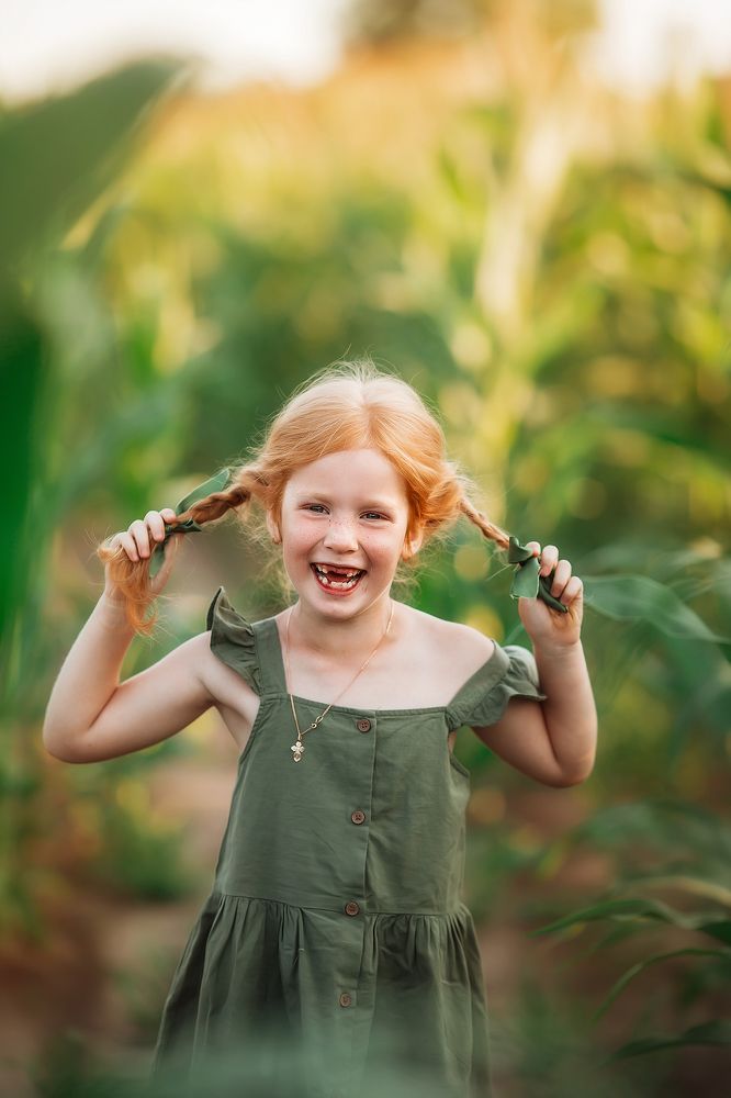 Кукурузная история