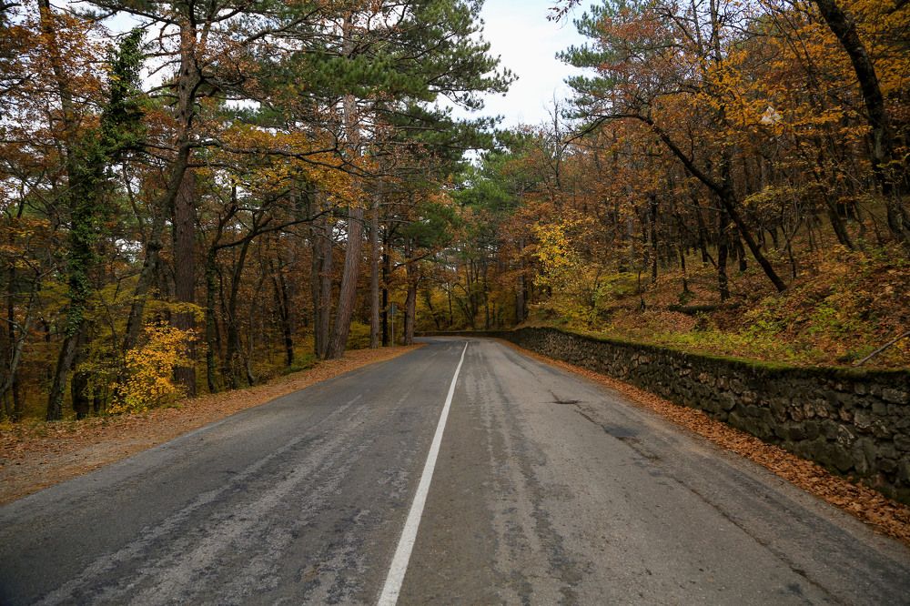 Photograph by Мария Ткаченко