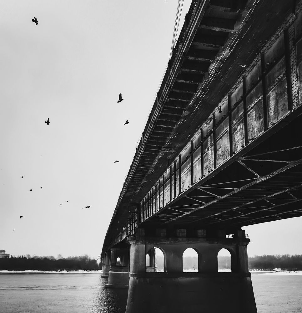 Photograph by Алексей Степаненко