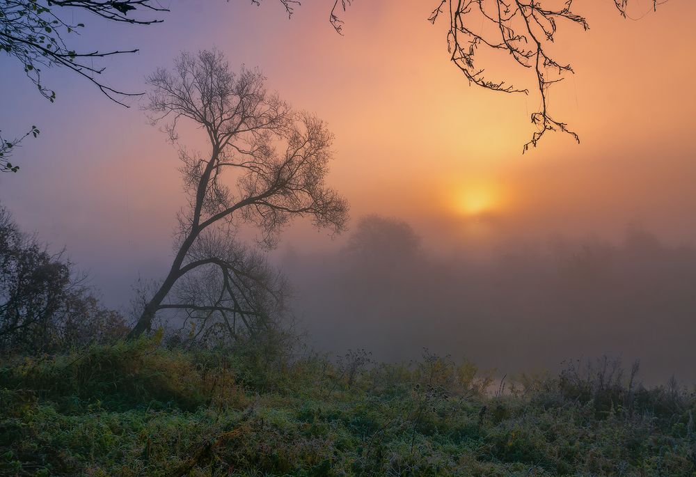 Фотография автора Andrew Kuzmin