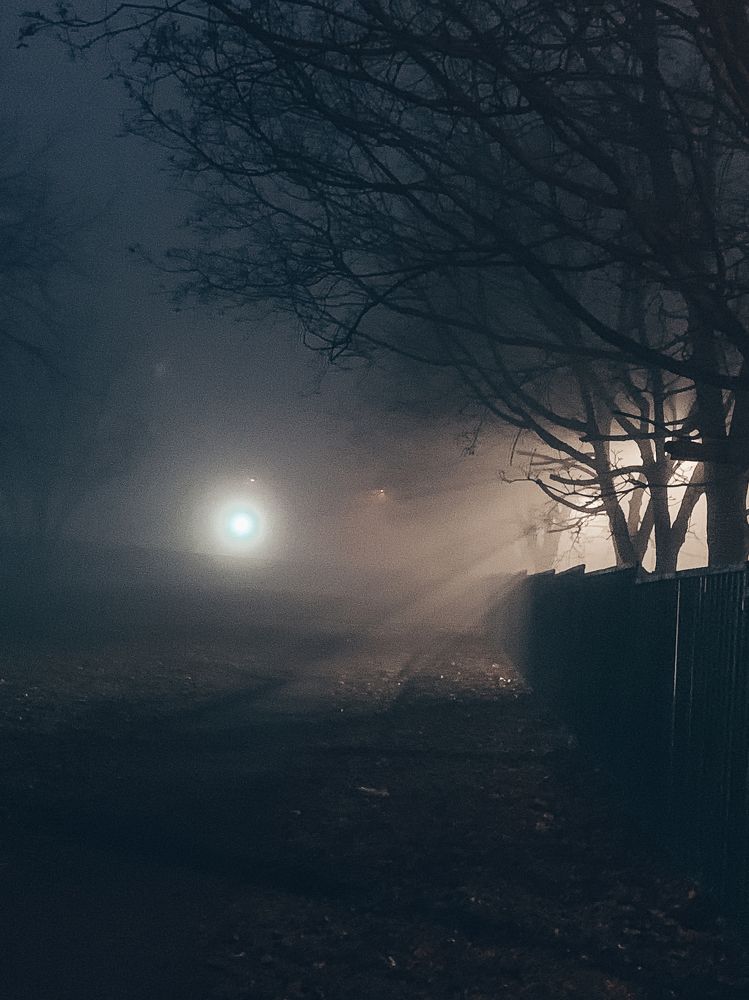 Photograph by Татьяна Гринько