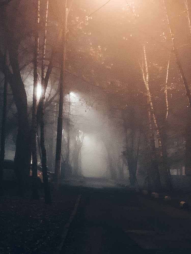 Photograph by Татьяна Гринько