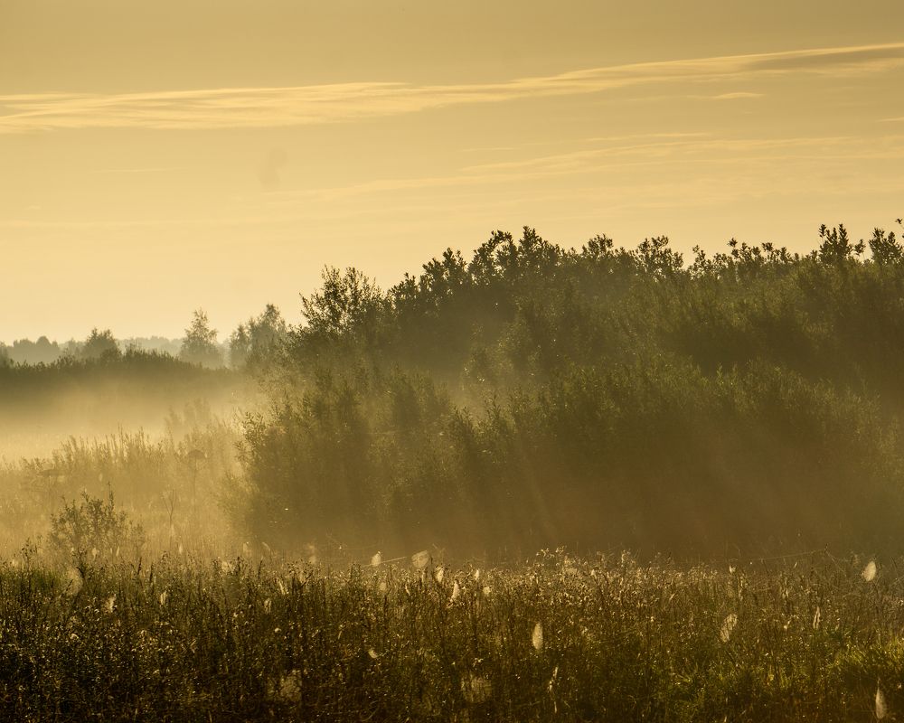 Photograph by Татьяна Гринько