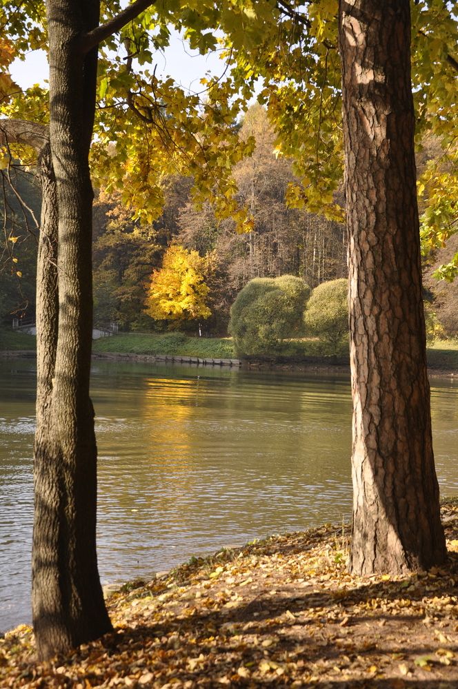 Photograph by Ольга Струкалина