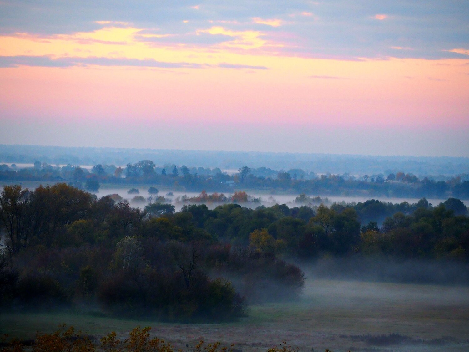 Photo #6694405