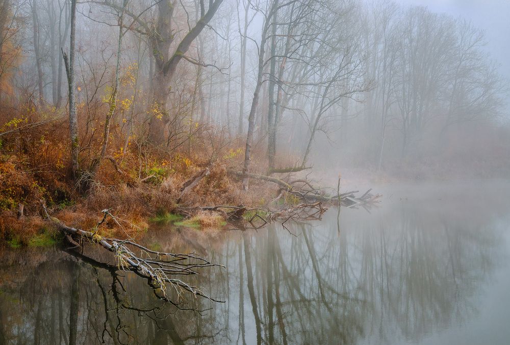 Фотография автора Andrew Kuzmin