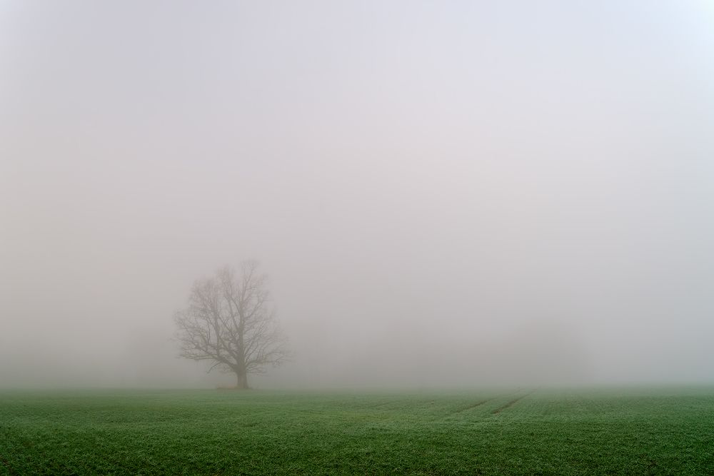 Фотография автора Andrew Kuzmin