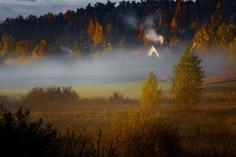 Фотография автора Michal Olech