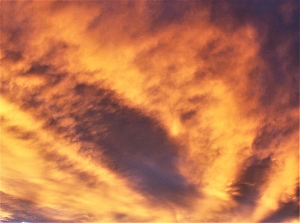 Photograph by Юрий Варзобский