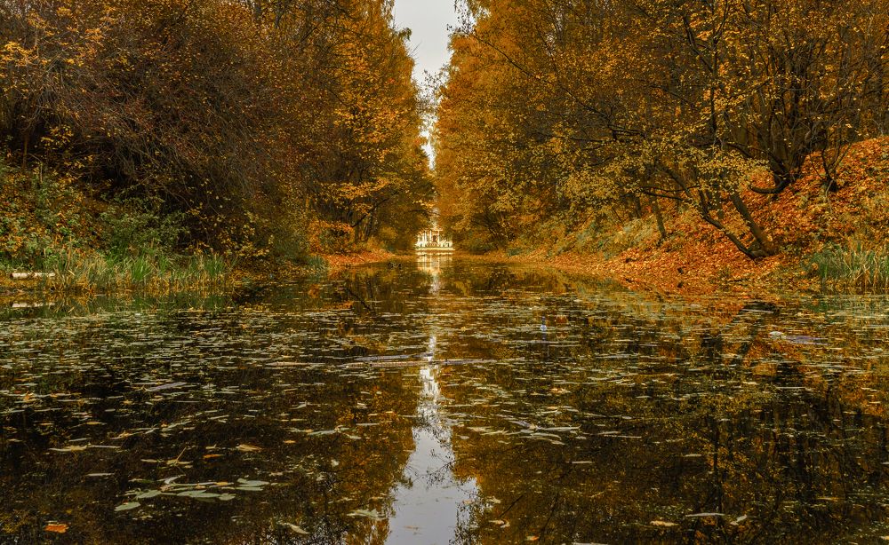 Photograph by Igor Tourovski